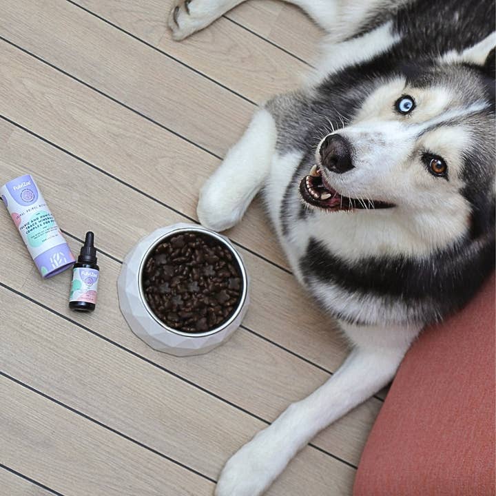 bionobo - Wholesale Pet Supplement - Not Cat/Dog - FulviZoo™ 30ml - Ácido fúlvico para mascotas14