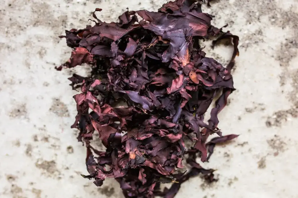 Lofoten Seaweed - Wholesale Dried/Dehydrated Vegetables - Dulse 25g5