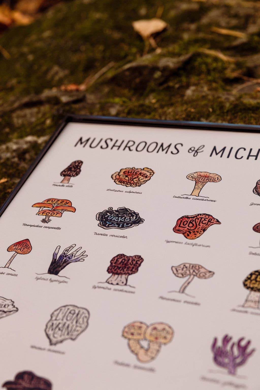 Home Squirrel - Wholesale Art Print - Mushrooms of Michigan Watercolor Print2