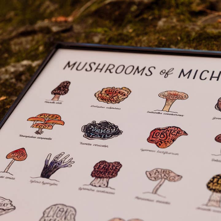 Home Squirrel - Wholesale Art Print - Mushrooms of Michigan Watercolor Print2