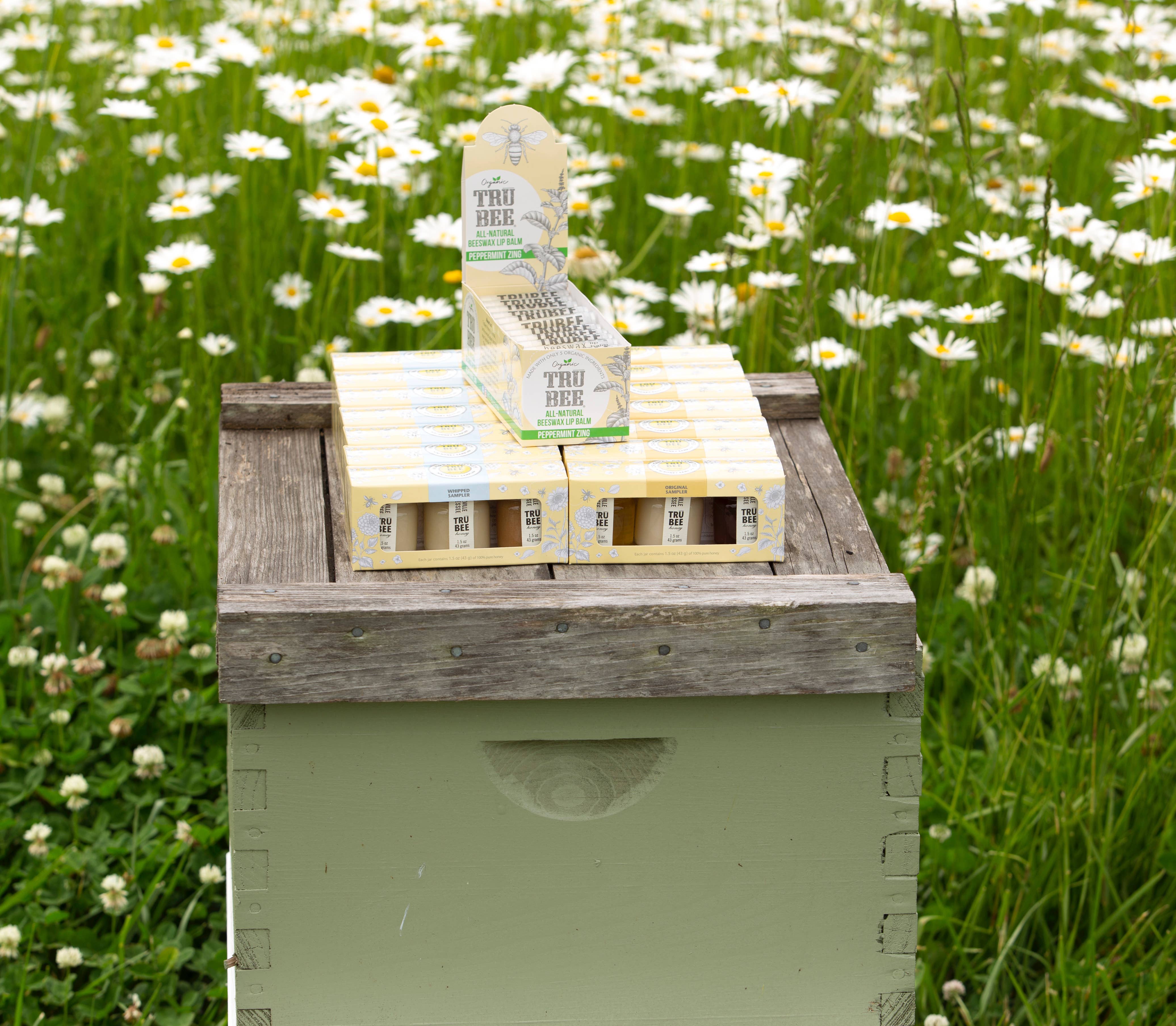 TruBee Honey - Wholesale Honey - Mini Honey Sampler ORIGINAL2