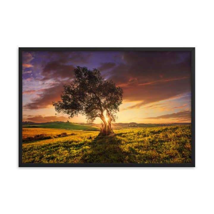 Countryside Olive Tree Sunset Landscape Photo Framed Art for wholesale by Pipa Wall Art & Home Decor