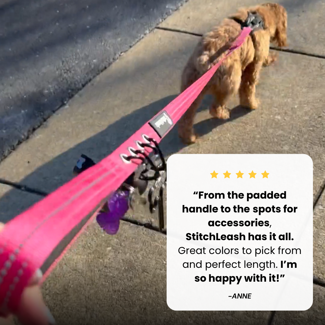 StitchLeash - Wholesale Pet Leash - Dog - StitchLeash® Bryce Clip & Go™ Flat Nylon Leash – Pink | 6 ft | 24 per case7