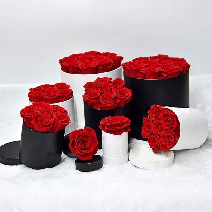 Modern Memory Design Picture Frames – wholesale Torkade/pressade blommor – 12 röda rosor bevarade i svart låda - Alla hjärtans dag-present9