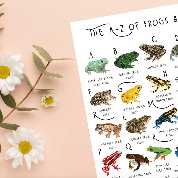 Bea Baranowska Illustration – wholesale Art print – The A-Z of Frogs & Toads Print2