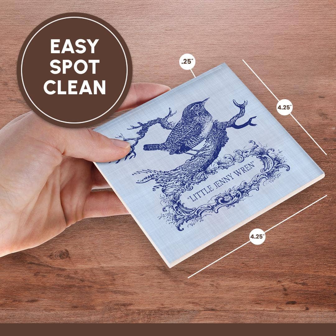 3dRose - Wholesale Coasters - 3dRose, Little Jenny Wren- pretty little bird and cartouche in blue, Coaster6