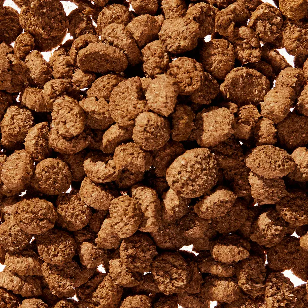 Native Pet - Wholesale Pet Supplement - Dog - WonderGland Anal Gland Pumpkin Fiber & Digestive Supplement1