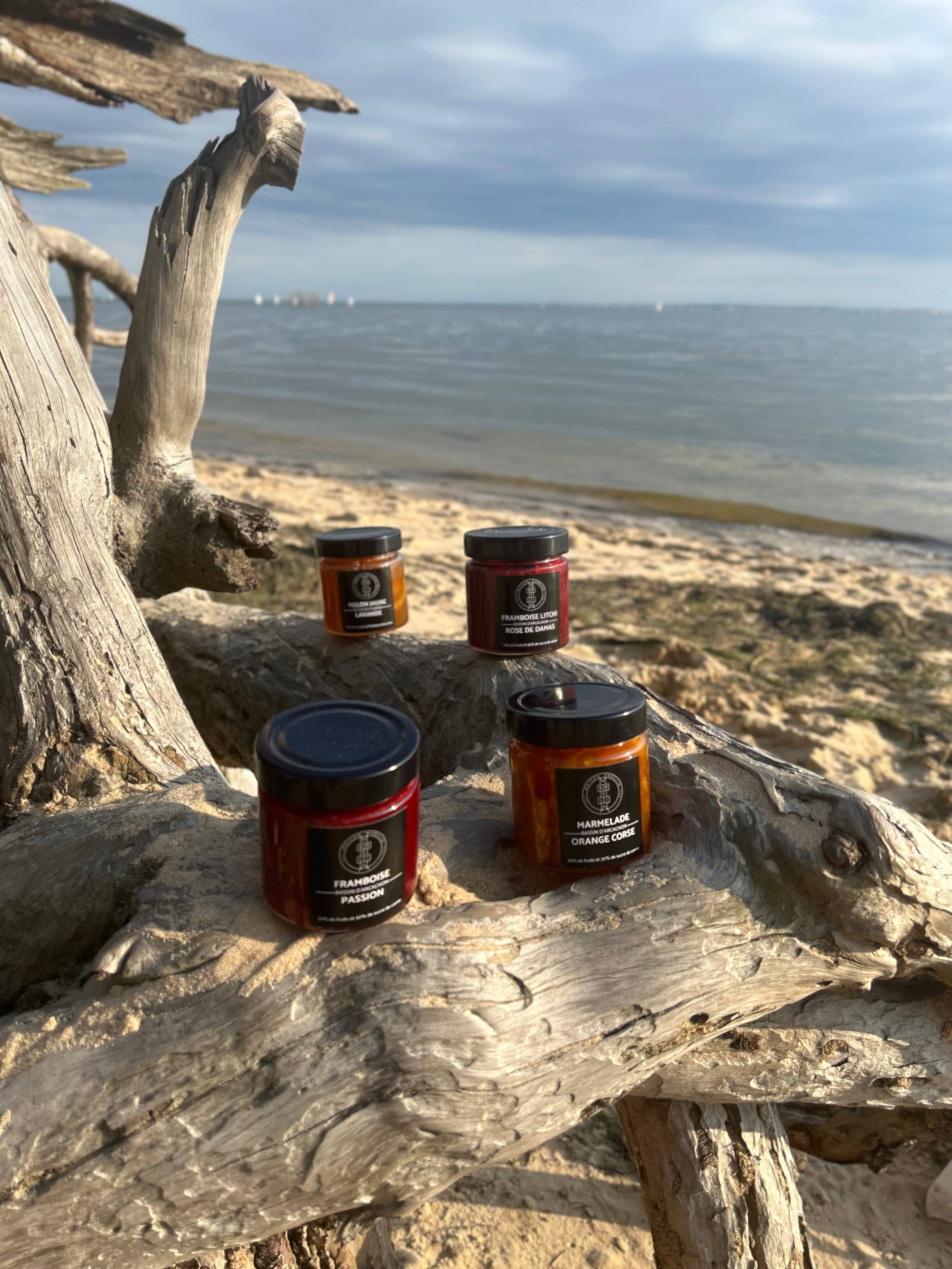 MAISON MARELIA – wholesale Jam/jelly – WILD BLUEBERRY jam1