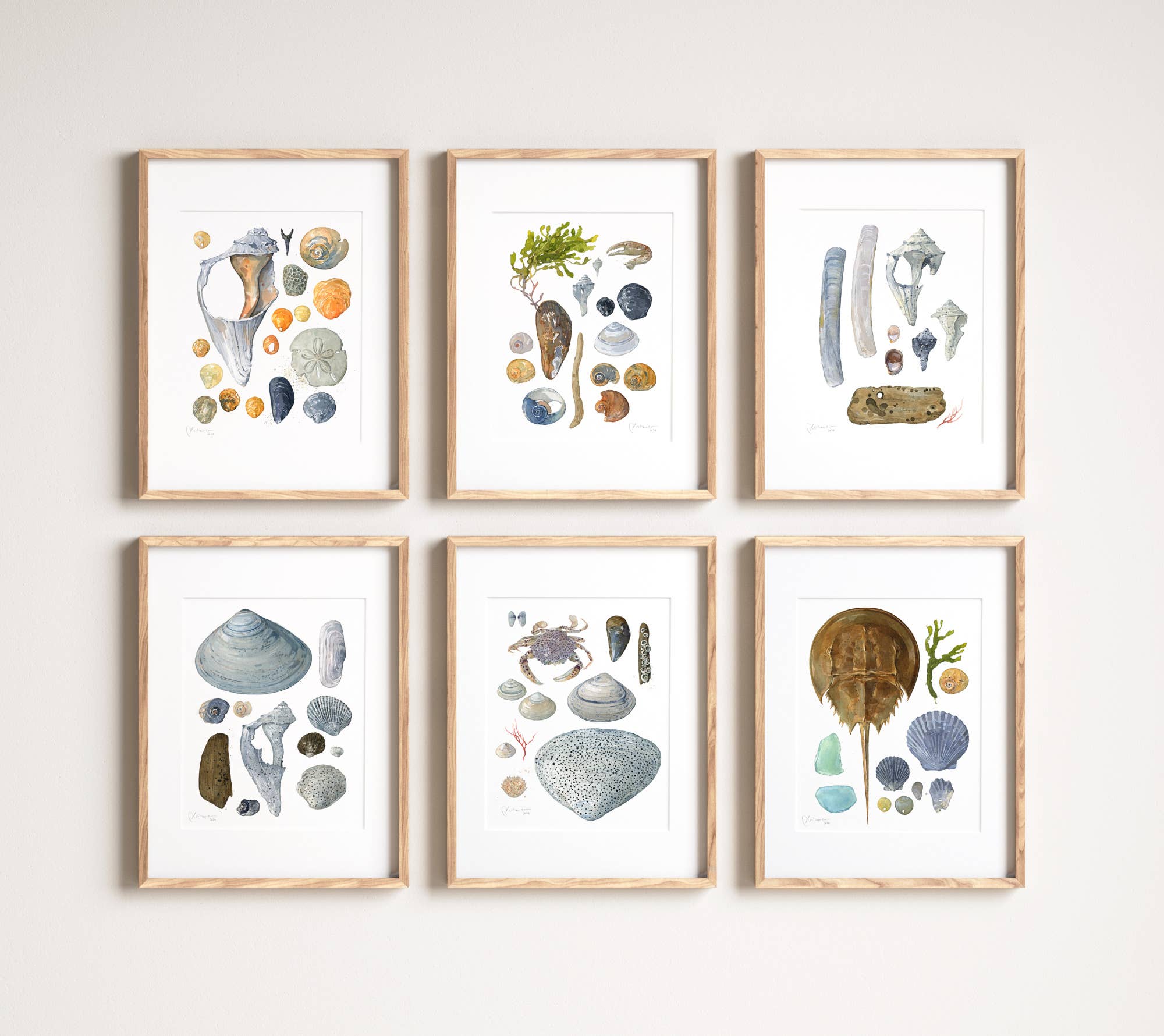 Studio Tuesday - Vente Affiche d'art - Shells Beachcombing Seashore Print F2