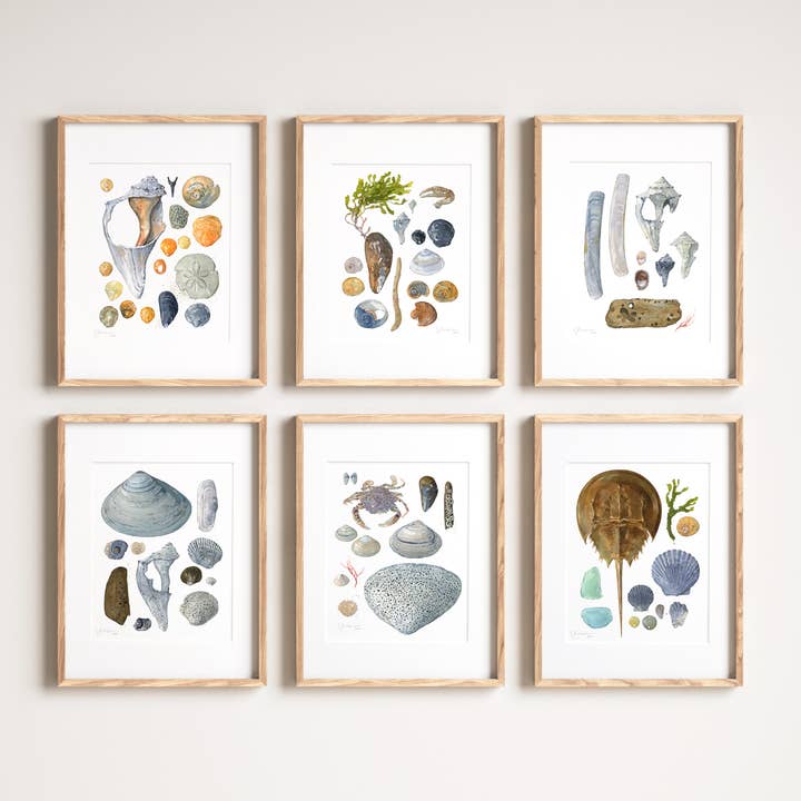 Studio Tuesday - Vente Affiche d'art - Shells Beachcombing Seashore Print F2