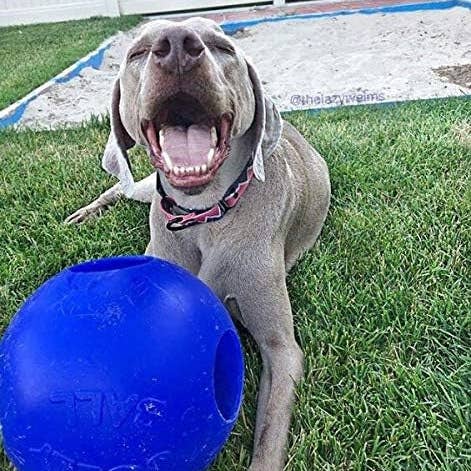 Playful Tail - Wholesale Pet Toy - Dog - Jolly Pets Teaser Ball Dog Toy (Various Sizes & Colors Available)3