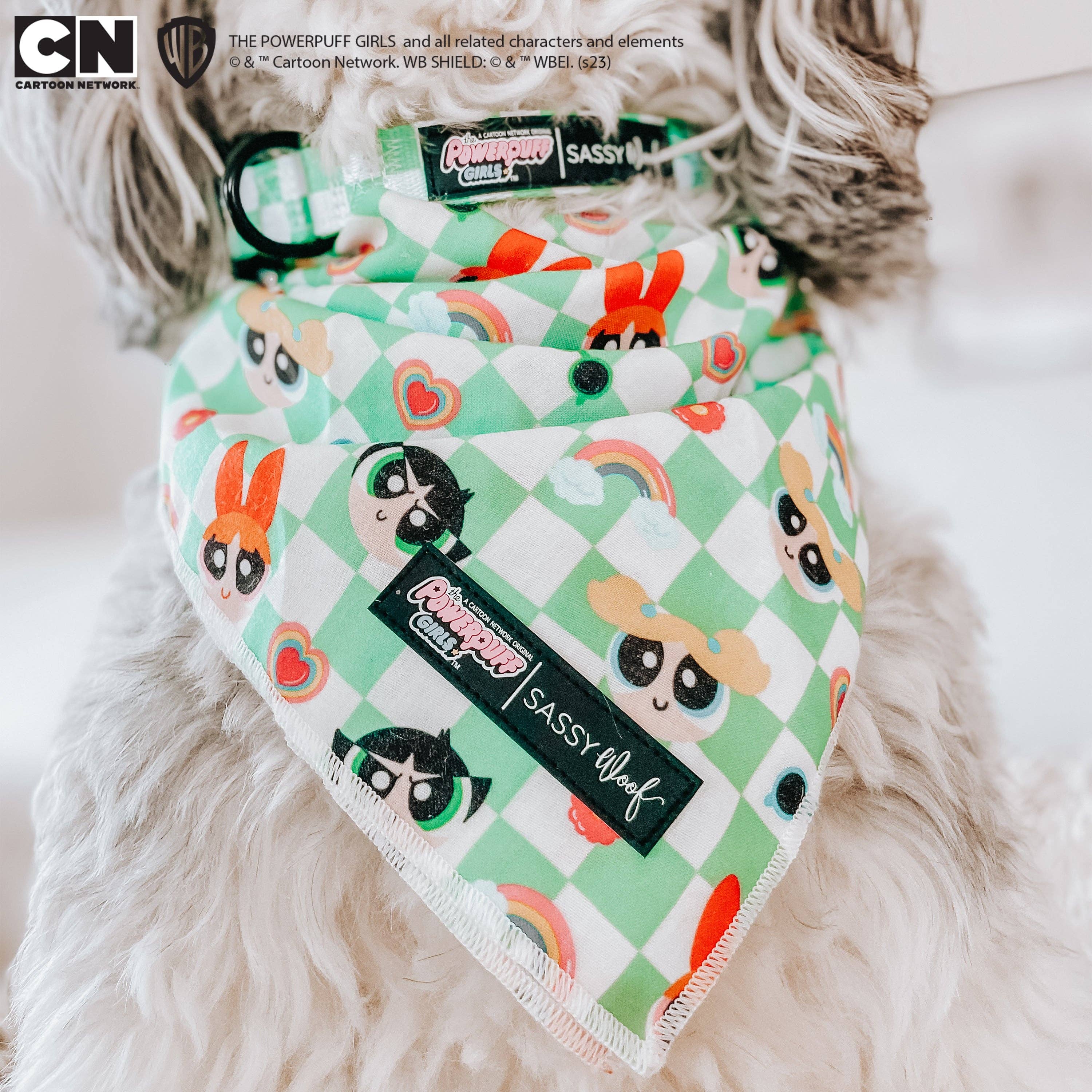 SASSY WOOF - Wholesale Pet Bandana - Dog - Dog Bandana - The Powerpuff Girls™ (Green)10