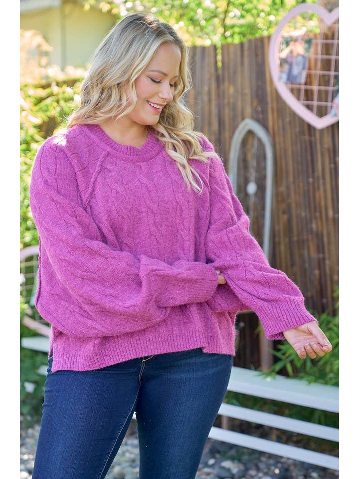 Nicabel - Wholesale Knit Sweater - Women's - Plus raglan sleeve cable knit sweater-PSW94192
