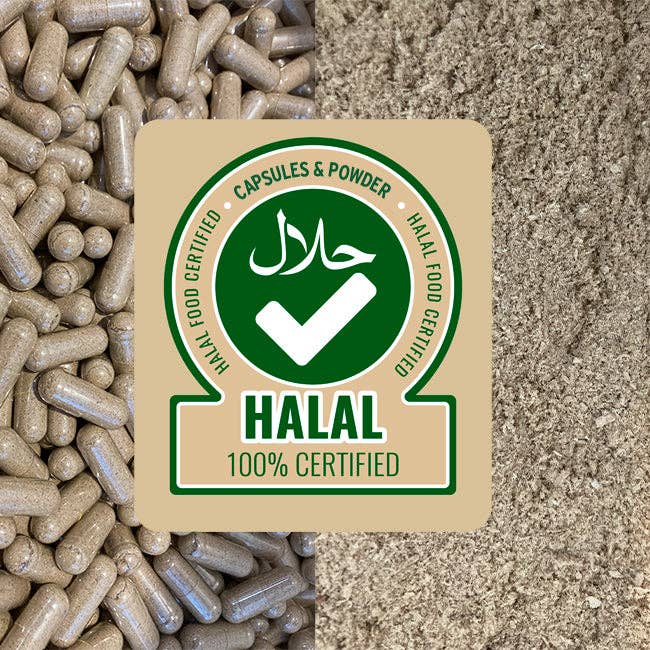 Ancestral Nutrition Pty Ltd - Wholesale Oral Supplement/Vitamin - Primal Energy Women - Grass Fed Beef Organ Powder (Box of 6)6