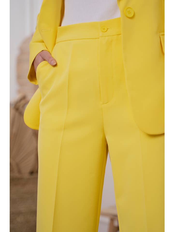 Attentif Paris – wholesale Byxor - Dam – Solid raka byxor med hög midja16