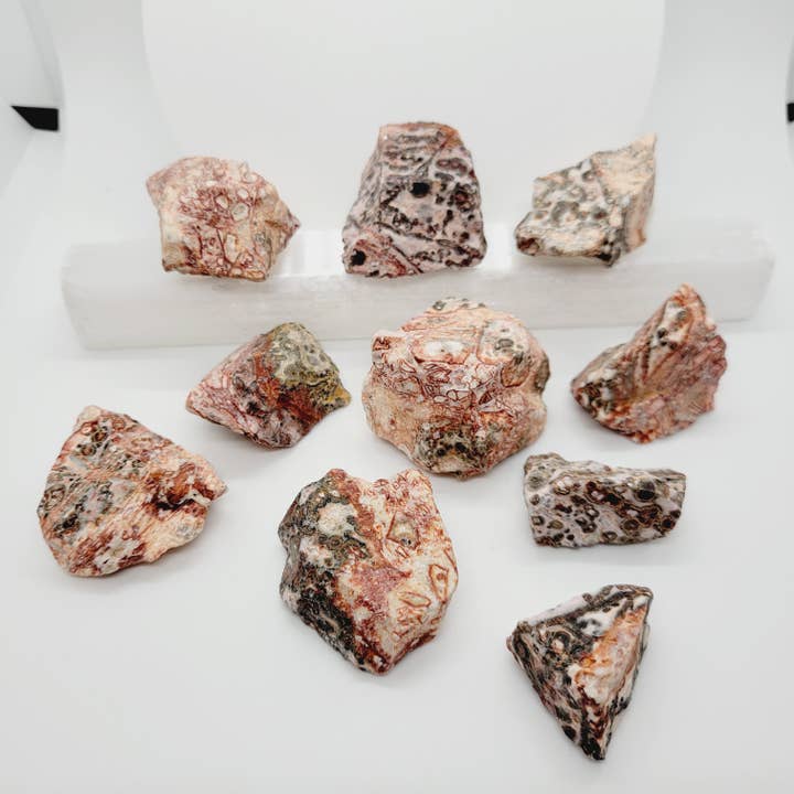 Leopard Skin Jasper Raw Stone Metaphysical Reiki for wholesale by The Raven's Edge
