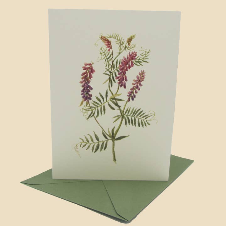 Sophia Davenport - Wholesale Everyday Greeting Card - Wildflower Greeting Cards and Notelets48
