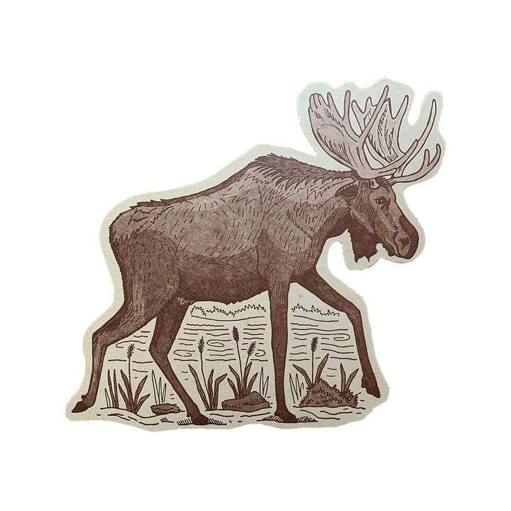 Moose Postcard for wholesale by Noteworthy Paper & Press