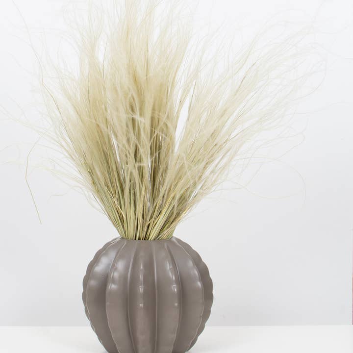 pampas studio uk - Wholesale Gedroogde/geperste bloemen - Gedroogd natuurlijk Stipa Penata-verengras1