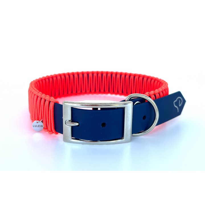 Illusion Neon für den Großhandel von Lulein