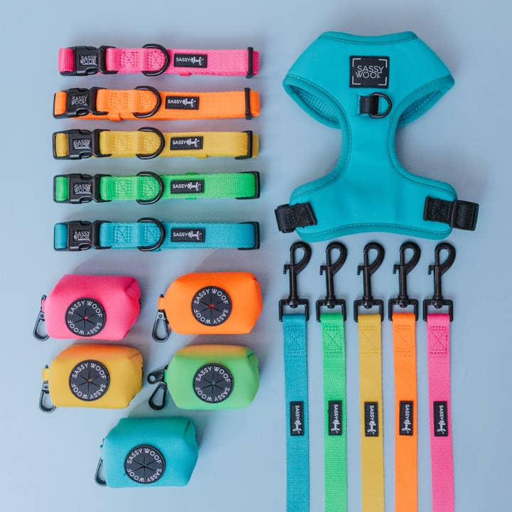 SASSY WOOF - Wholesale Pet Poop Bag Dispenser - Dog Waste Bag Holder - Neon Blue2