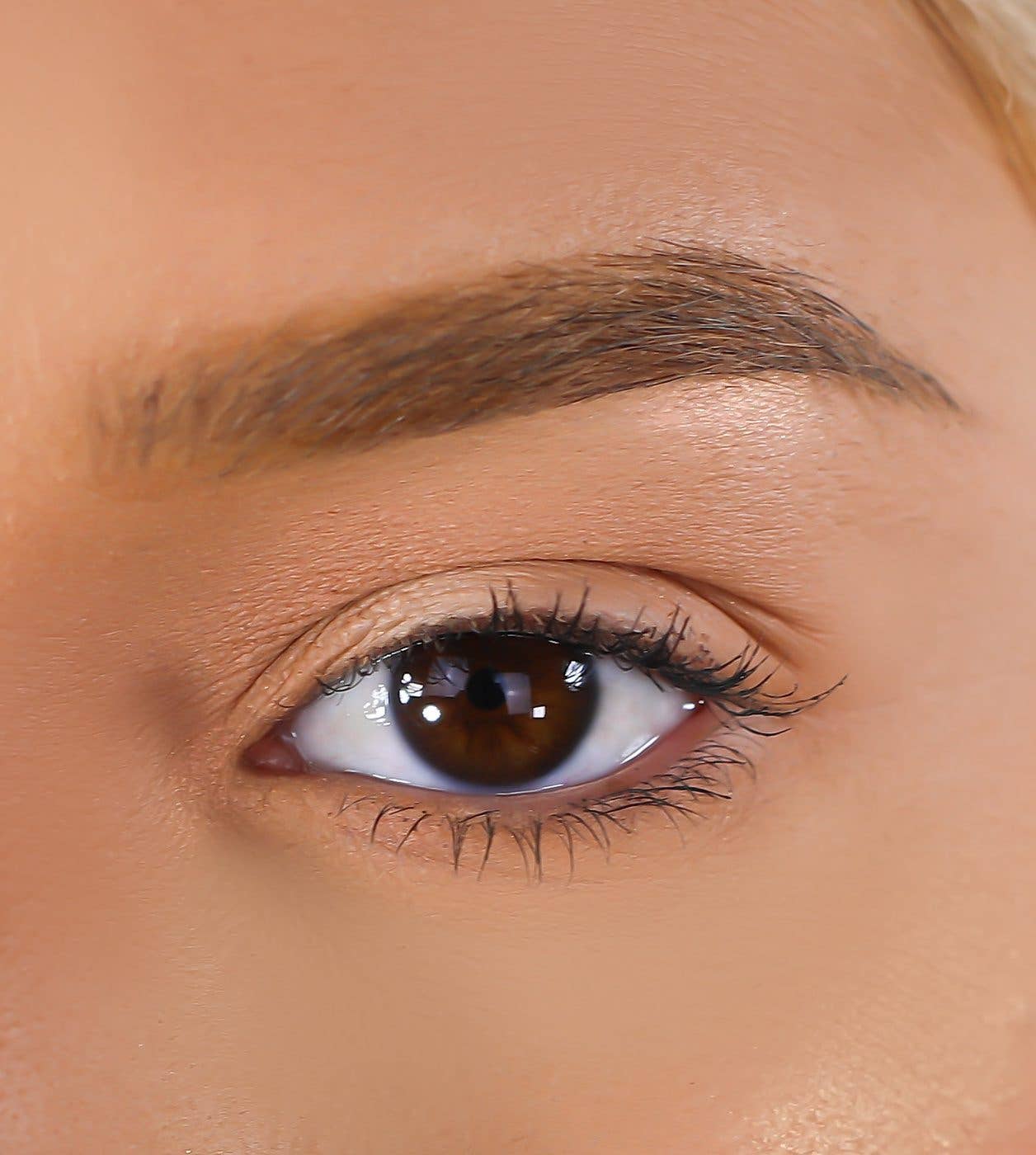 Lurella Cosmetics - Wholesale False/Fake Eyelashes - 3D Mink Eyelashes - Attached2