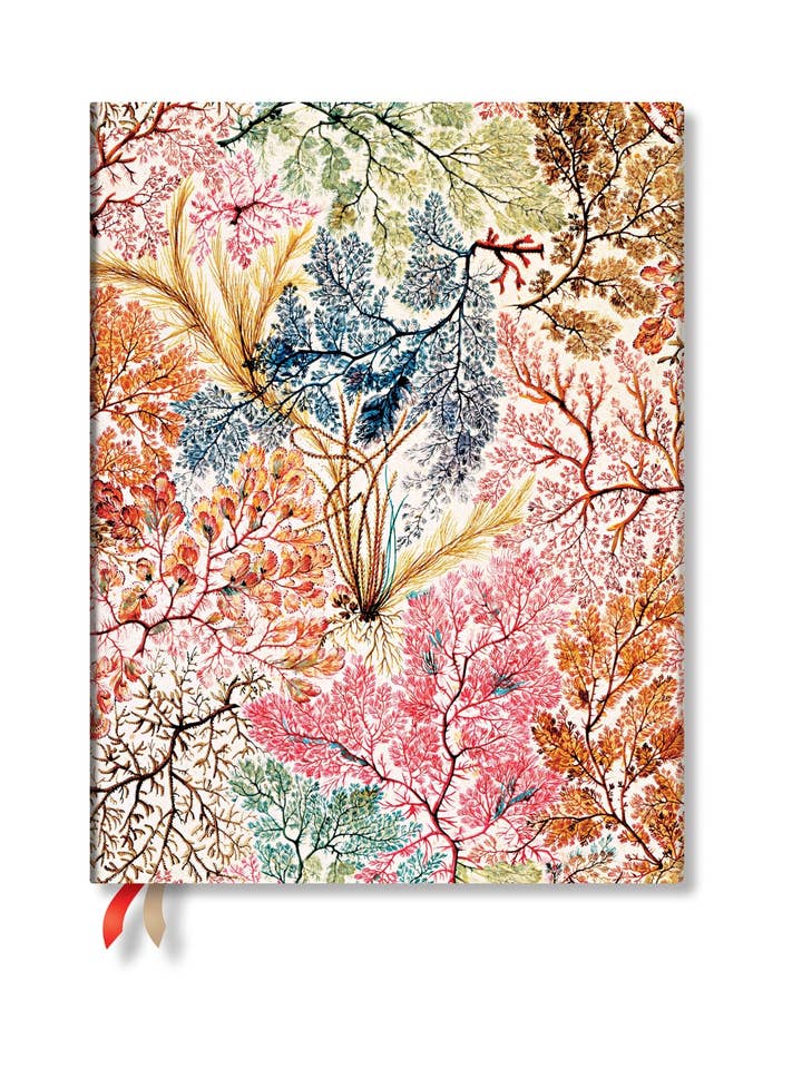 Paperblanks 2026 Anemone Ultra Business Planner for wholesale by Chronicle Books