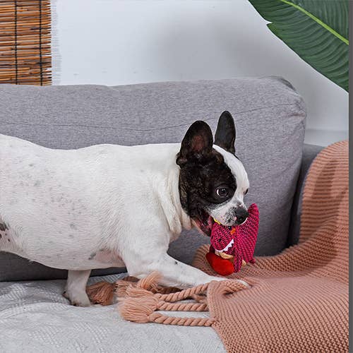 Hugsmart Products Inc - Wholesale Pet Plush Toy - Dog - HugSmart Pet - Dinosaur Land  | Rexy - Dog Plush Toy2