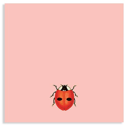 30x40 – Großhandel Notizblöcke – Belladonna Marienkäfer Notizblock 10 x 10 cm
