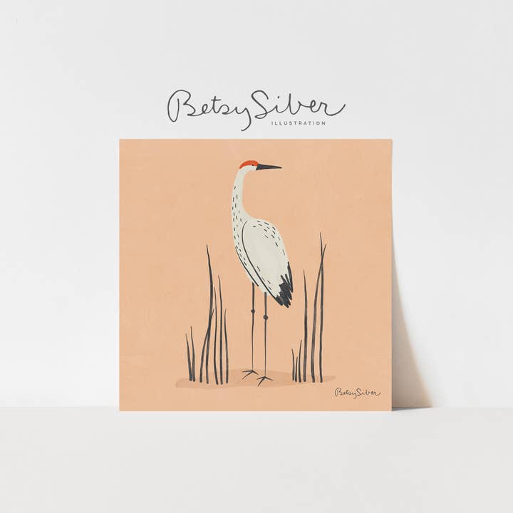 Sandhill Crane Art Print for wholesale by Betsy Siber, Illustration