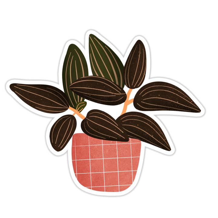 Svart Orkidé juvel klistermärke för wholesale av Tiny Plant Market