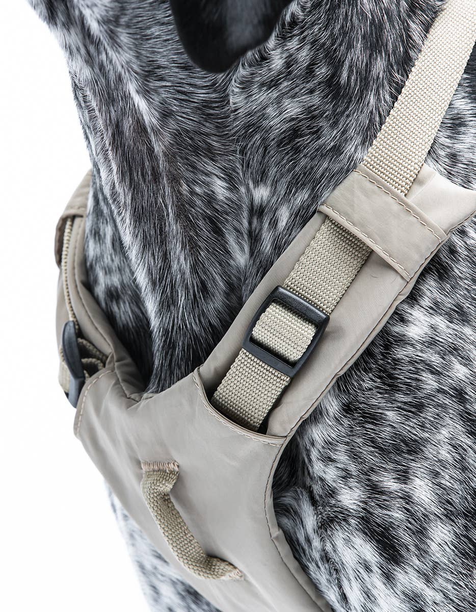 United Pets - Vente Laisse – chien - Harnais rembourré doux pour chien16
