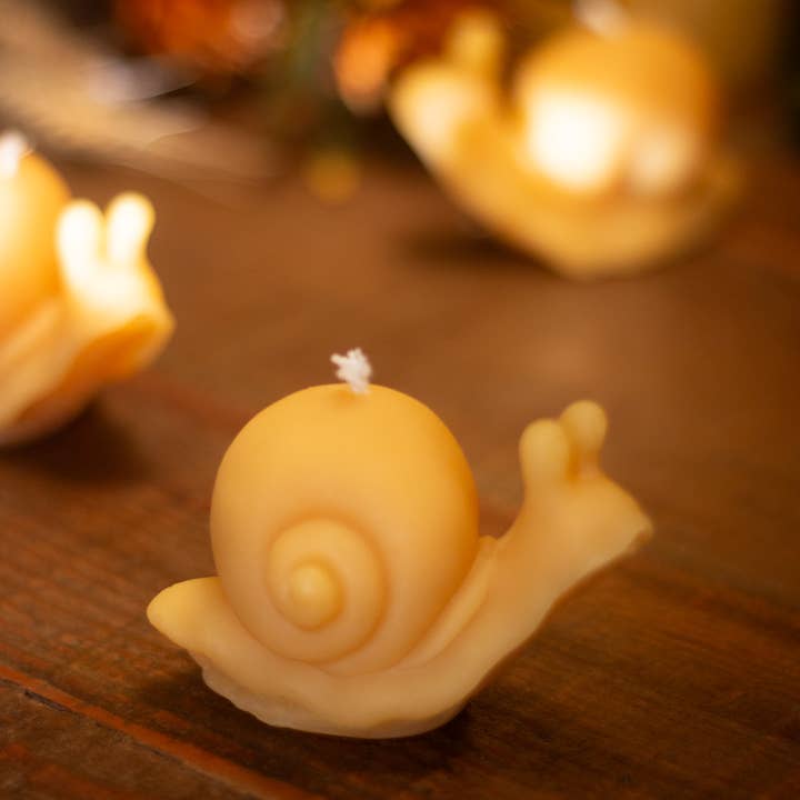 The Ramblin' Bee - Wholesale Novelty Candle - Snail Beeswax Candle