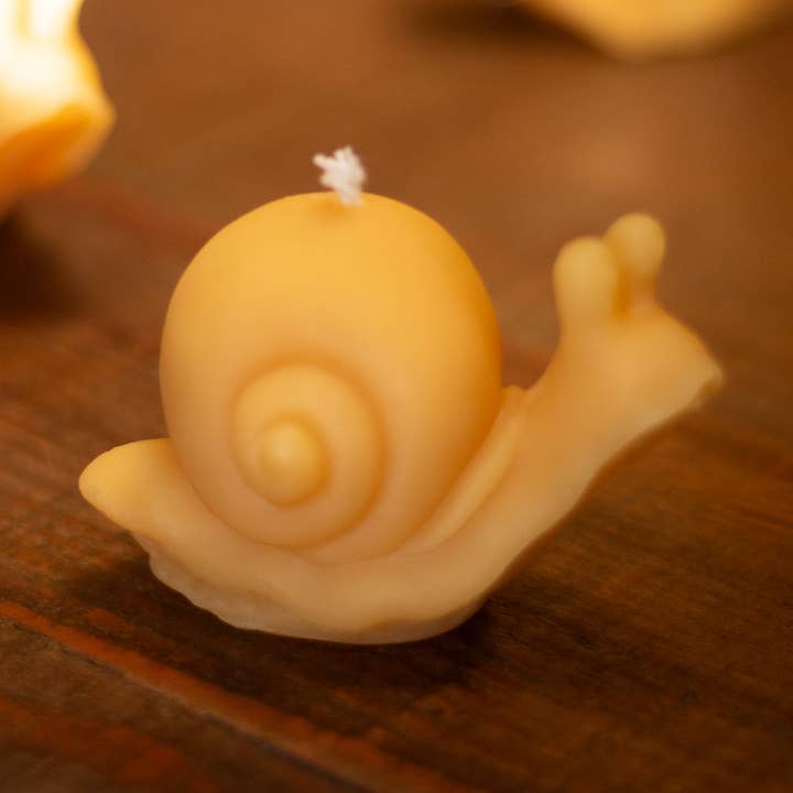 The Ramblin' Bee - Venta al por mayor Velas de diseño llamativo - Vela de cera de abejas en forma de caracol0