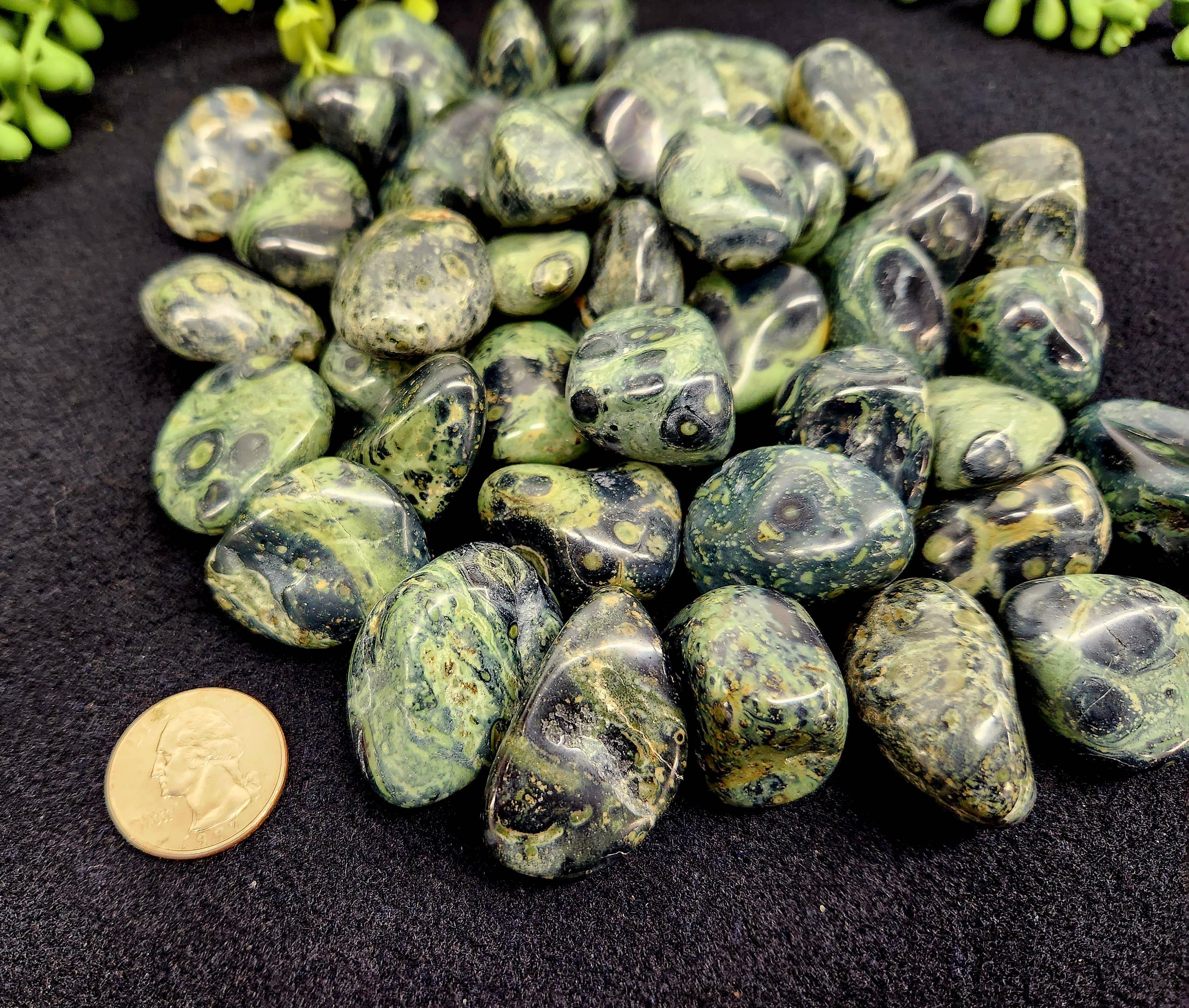 Meraki Gemstones - Wholesale Spiritual Stone/Crystal - Kambaba Jasper (1kg/2.2 lbs.) Tumbled Approx. 30-35mm3