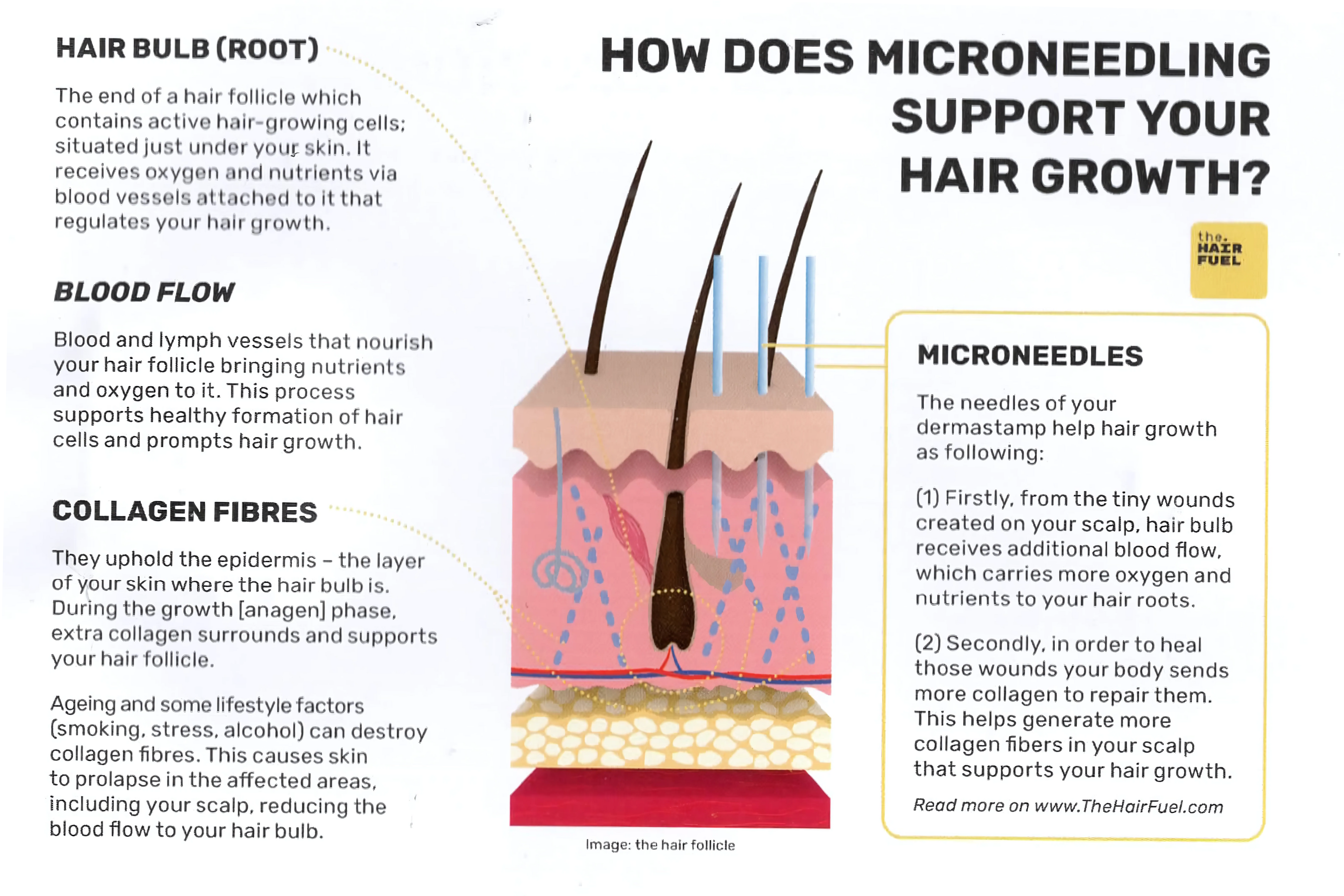 The Hair Fuel - Wholesale Silk/Microfiber Haircare - Dermastamp8