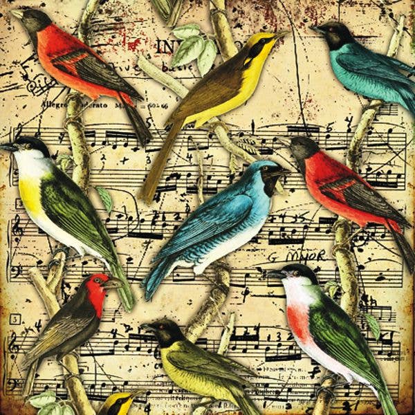 DECORER - Vente Scrapbooks - Papier pour scrapbooking 12'X 12' - Lot de 18 feuilles - S2710