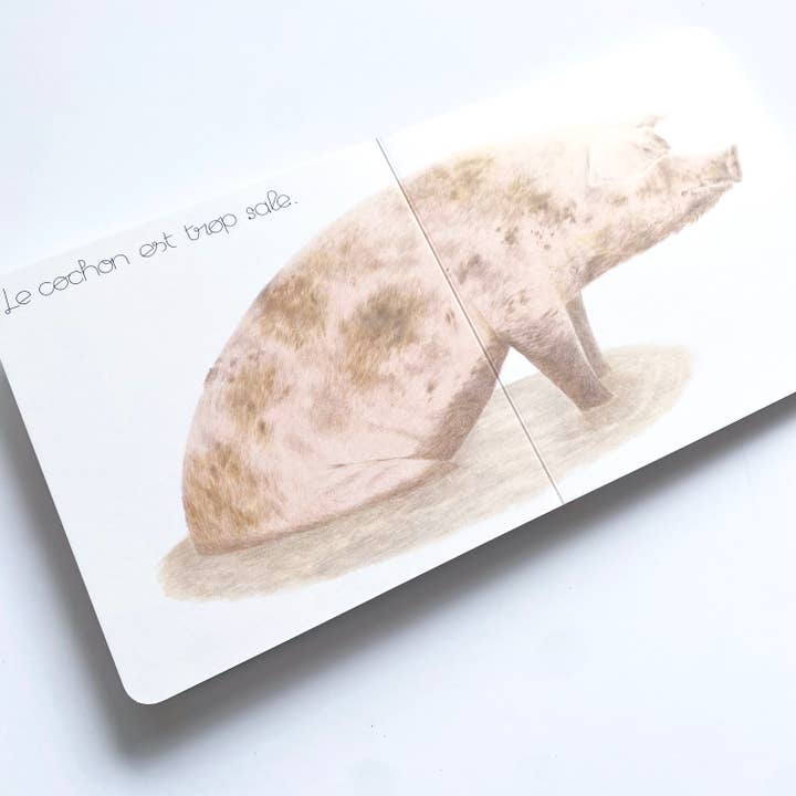 La Partie - Wholesale Baby & Toddler Book (0-2) - The cat is too / Animal picture book / Early childhood4