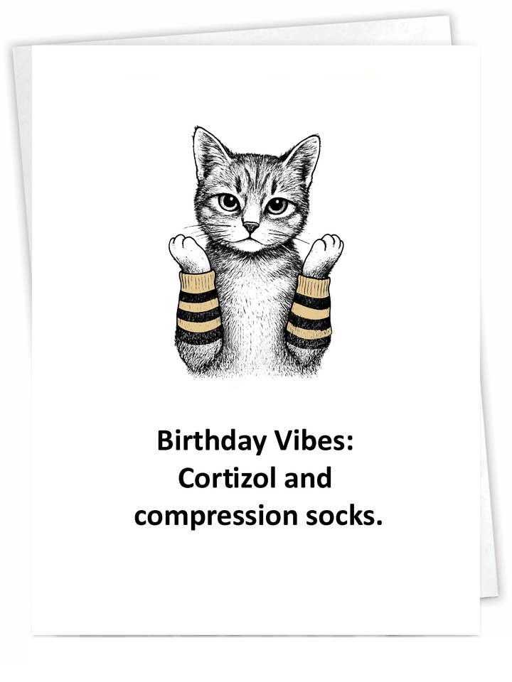 Cartão de Aniversário Divertido - Vibrações de Gato - Interior em Branco por atacado de Blue Spark Card Co