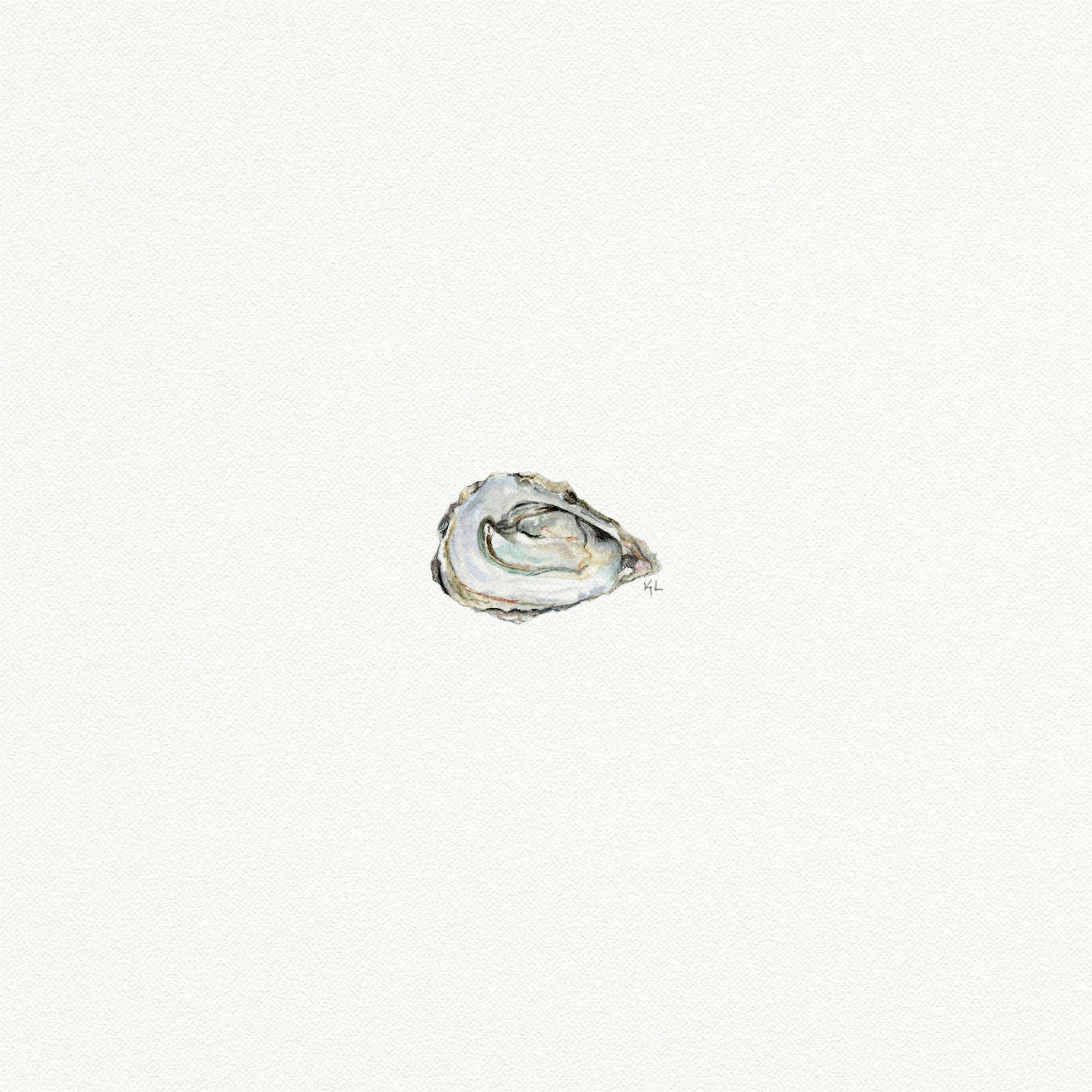 Karen Libecap Tiny Paintings - Wholesale Art Print - Oyster Miniature Watercolor Painting - Art Print2
