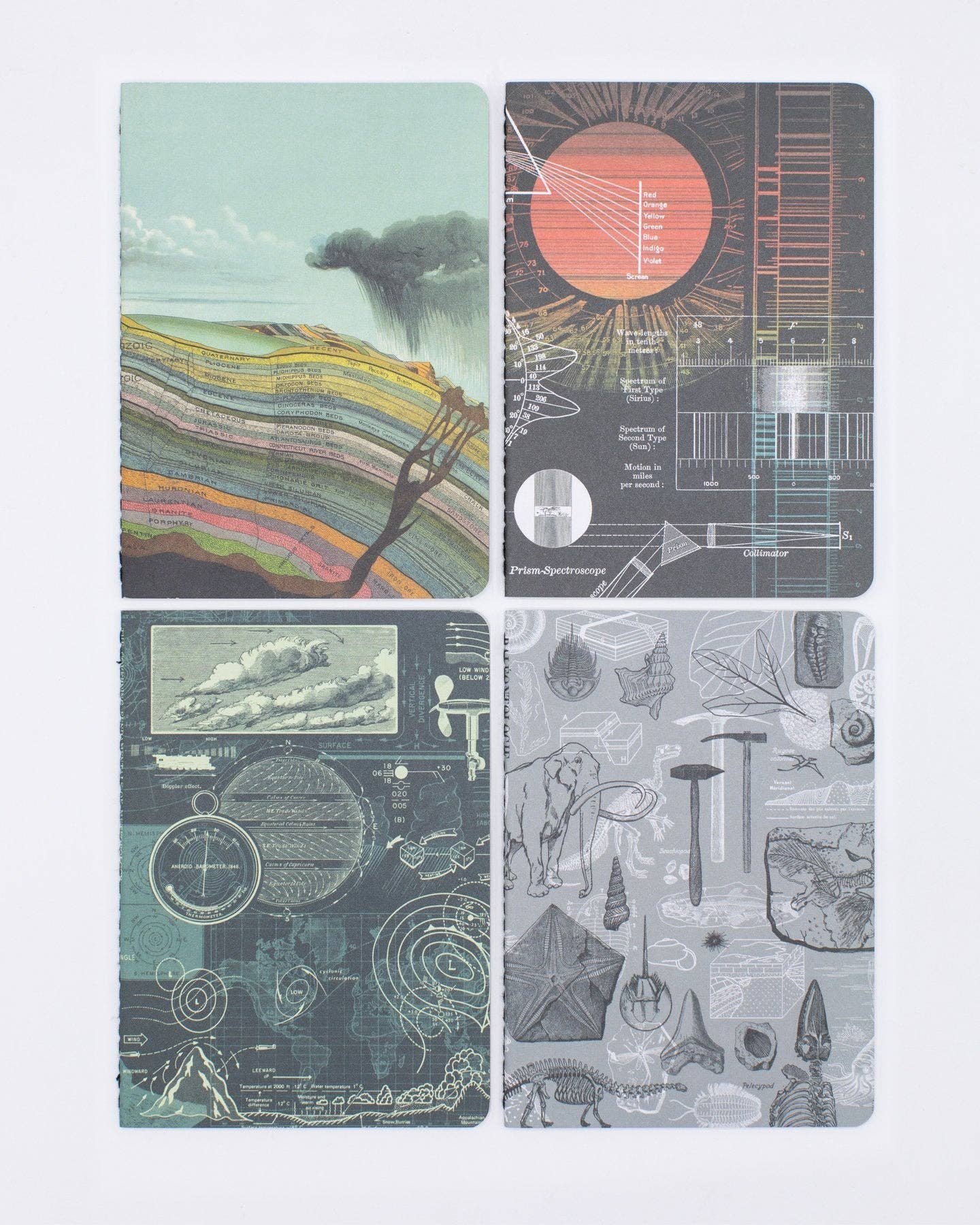 Cognitive Surplus EU - Wholesale Notebook - Natural History Pocket Notebooks 4-pack (Case of 4)3