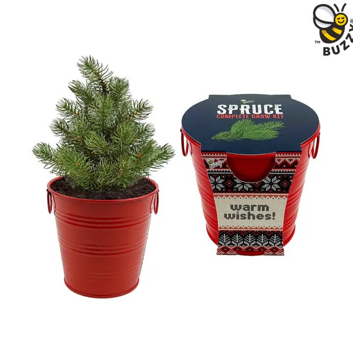 Holiday Spruce Tree Grow Pail – Winter Garden Gift Kit for wholesale by Buzzy Seeds Grow Gifts