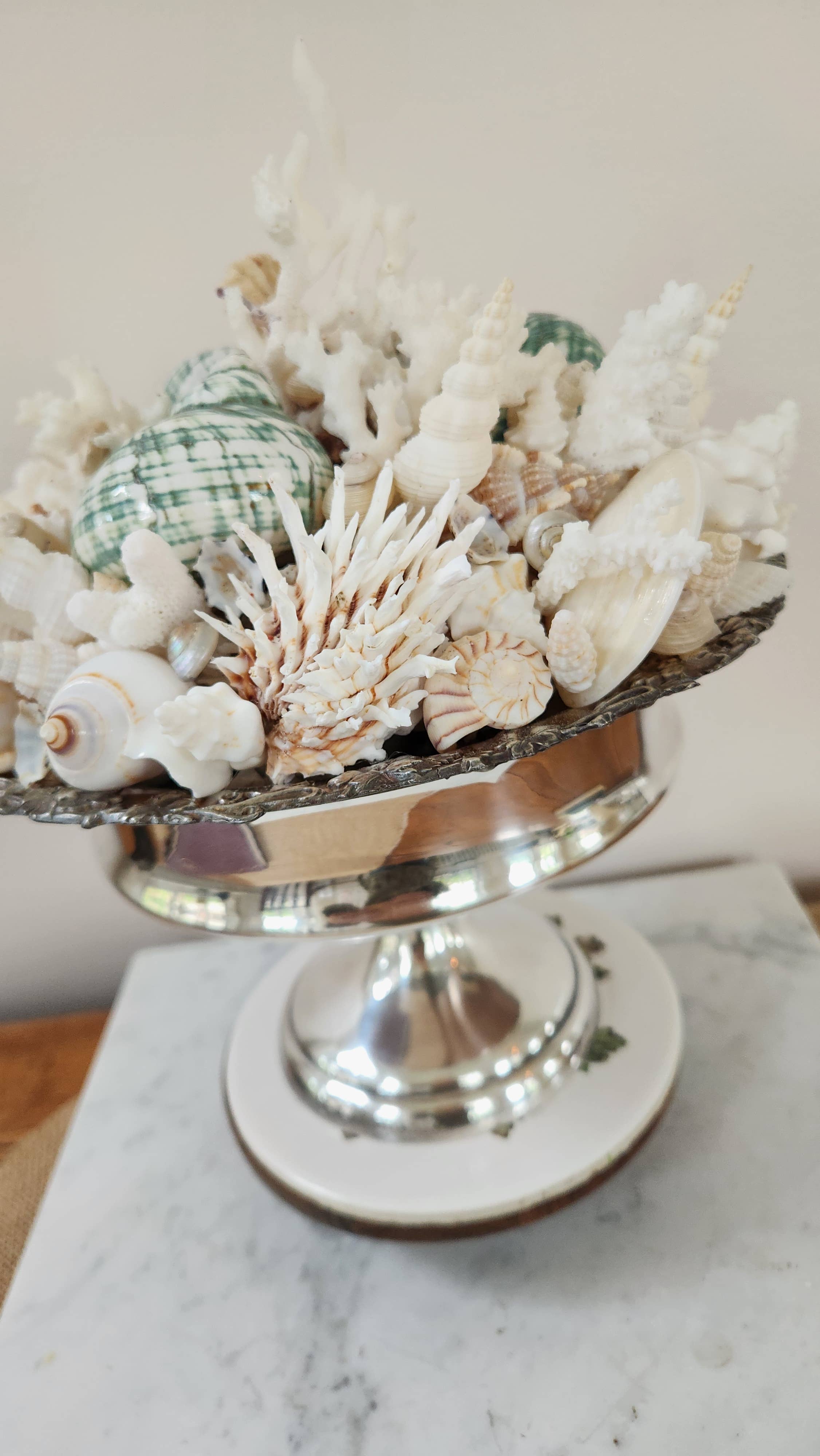 White Tulip Boutique - Wholesale Decorative Tabletop Object - Large Seashell n Coral Centerpiece, Table Top Decor, Topiary2