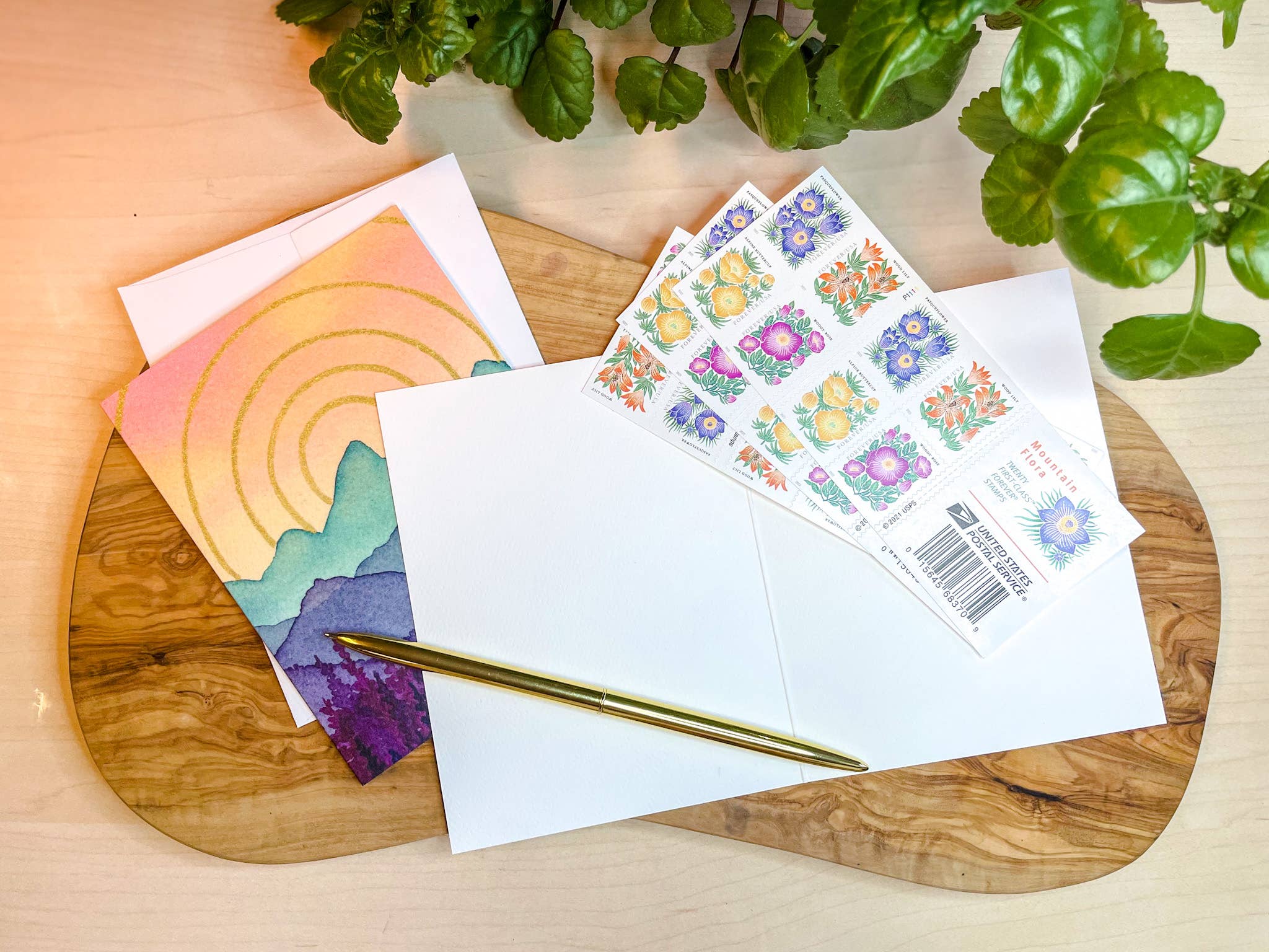 Shelby Thayne Art - Wholesale Everyday Greeting Card - Teton Sunburst Single - Art Greeting Card1