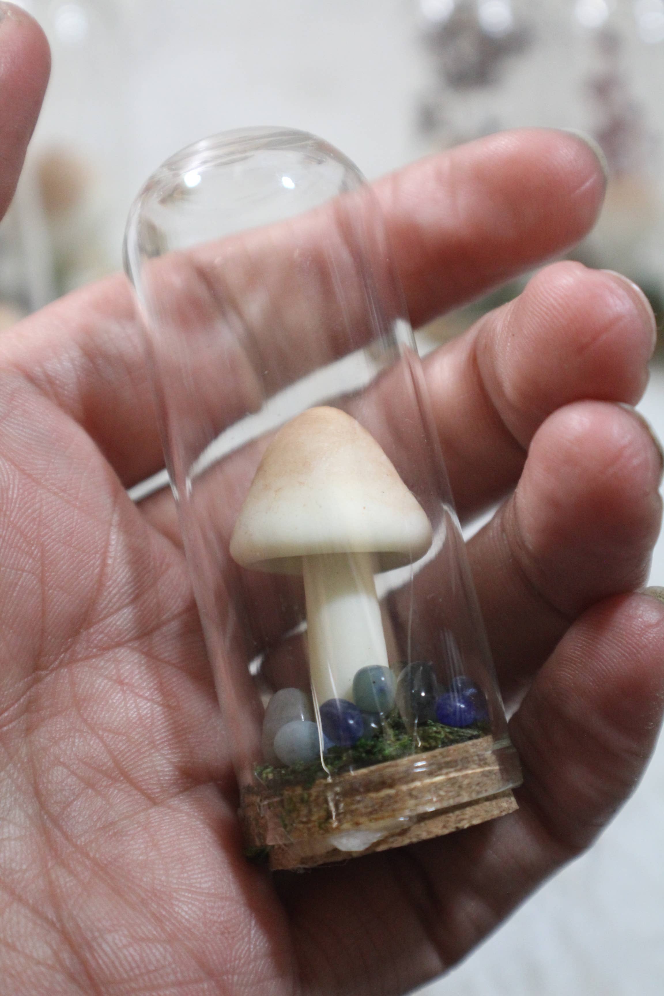 Raven Design - Wholesale Terrarium - Mushroom Terrarium Glows in the Dark!4