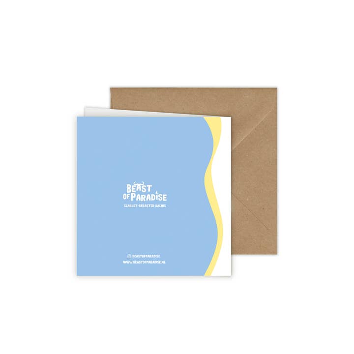 Beast of Paradise - Vendita all'ingrosso Biglietti di auguri - Biglietti di Auguri con Uccelli, Set di 10 Biglietti, Biglietti di Auguri con Animali17