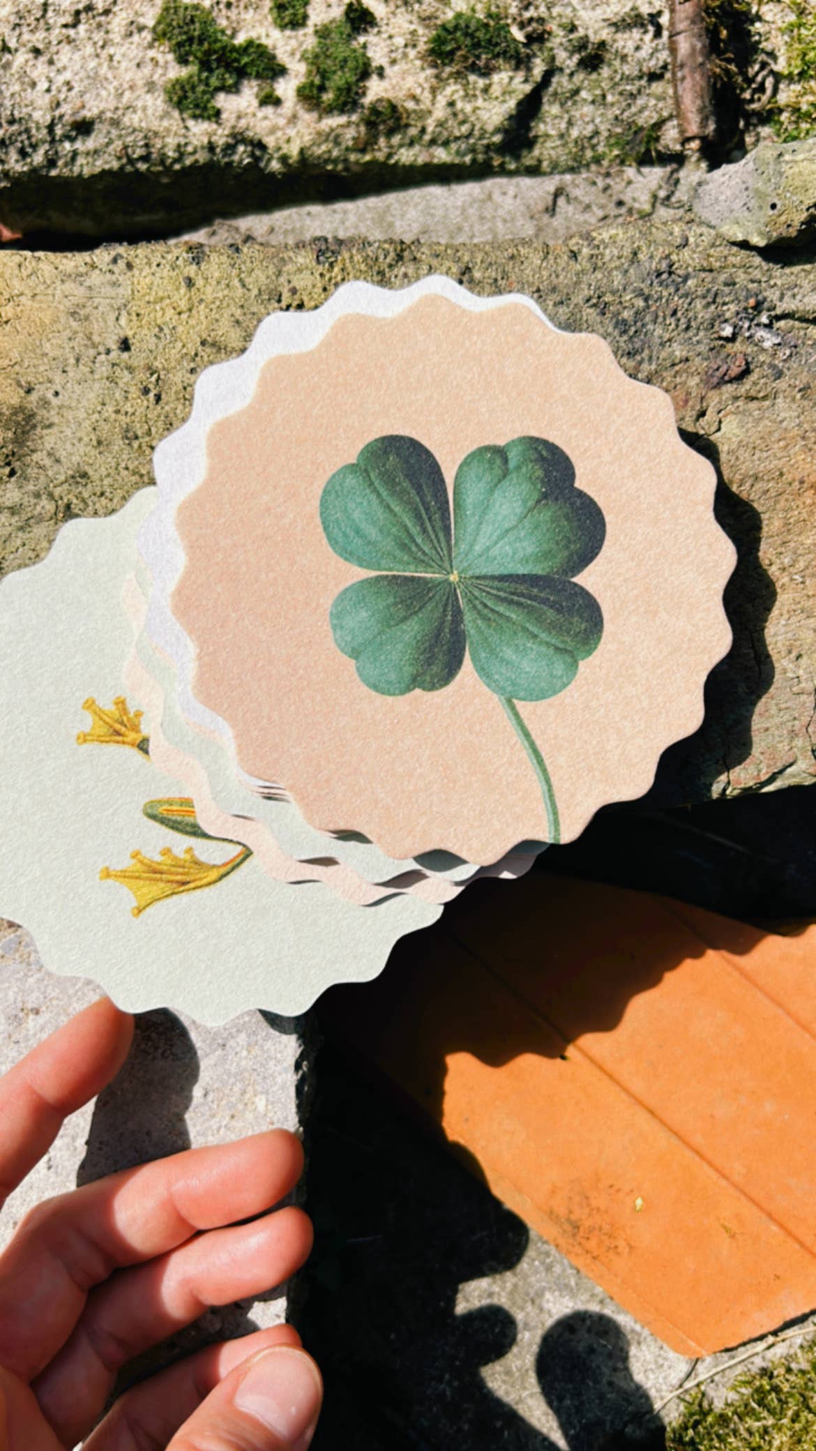 30x40 - Wholesale Coasters - Coaster Set Good Vibes 🍀🐓🐢 UPDATE - New Designs6