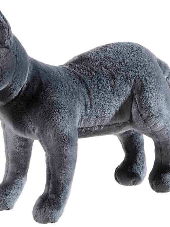 Sdmt dieren kater "Karajan" voor wholesale door Heunec