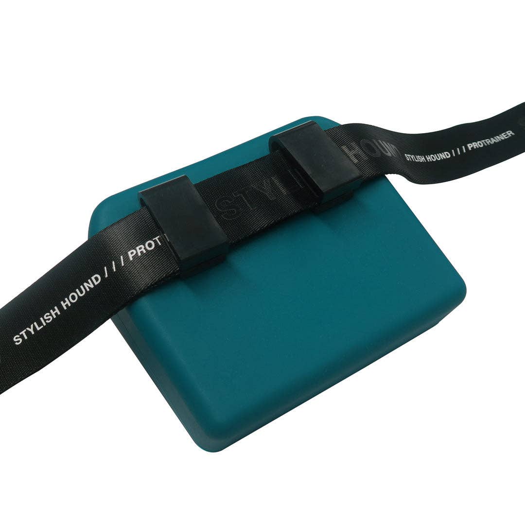 Sarcelle Pochette en silicone Teal Pro Trainer en vente sur Faire9