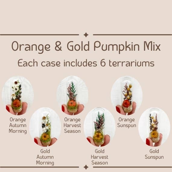 CA Studios - Wholesale Terrarium - Pumpkin Mix Mini Terrarium Potion Jar w Dried Florals7